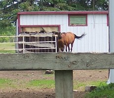Anybody Home?